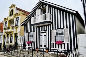 AVEIRO E COSTA NOVA: Private Ganztagestour mit Bootstour ab Porto