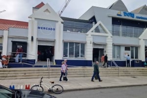 AVEIRO E COSTA NOVA: Private Ganztagestour mit Bootstour ab Porto