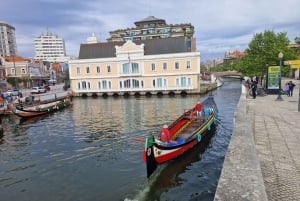 AVEIRO E COSTA NOVA: Private Ganztagestour mit Bootstour ab Porto