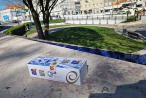 AVEIRO E COSTA NOVA: Private Ganztagestour mit Bootstour ab Porto