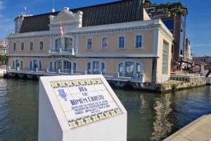 AVEIRO E COSTA NOVA: Private Ganztagestour mit Bootstour ab Porto