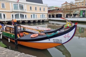 AVEIRO E COSTA NOVA: Private Ganztagestour mit Bootstour ab Porto