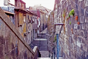 Porto: Private Bike Tour mit einem ortskundigen Guide