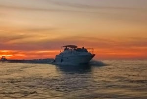 Visite en bateau privée de Porto : 6 ponts, embouchure du fleuve et coucher de soleil