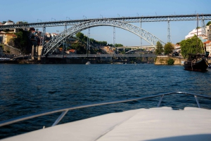 Oporto: crucero privado por el Duero - 1:30 horas, hasta 6 personas