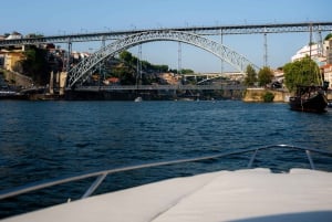Porto: crociera privata sul Douro - 1 ora e 30 minuti, fino a 6 persone