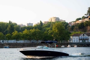 Porto: crociera privata sul Douro - 1 ora e 30 minuti, fino a 6 persone