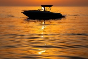 PORTO: Privat krydstogt på Douro - op til 6 personer - 2/3 time