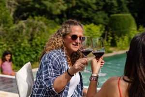 Porto : déjeuner culturel privé et dégustation de vin dans la vallée du Douro