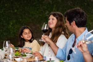 Porto : déjeuner culturel privé et dégustation de vin dans la vallée du Douro