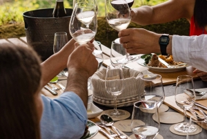 Porto : déjeuner culturel privé et dégustation de vin dans la vallée du Douro