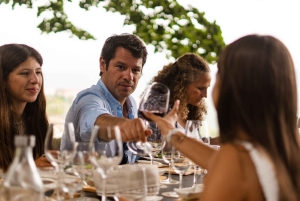 Porto : déjeuner culturel privé et dégustation de vin dans la vallée du Douro