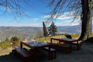 Porto : déjeuner culturel privé et dégustation de vin dans la vallée du Douro