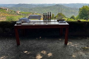 Porto : déjeuner culturel privé et dégustation de vin dans la vallée du Douro