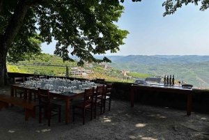 Porto : déjeuner culturel privé et dégustation de vin dans la vallée du Douro
