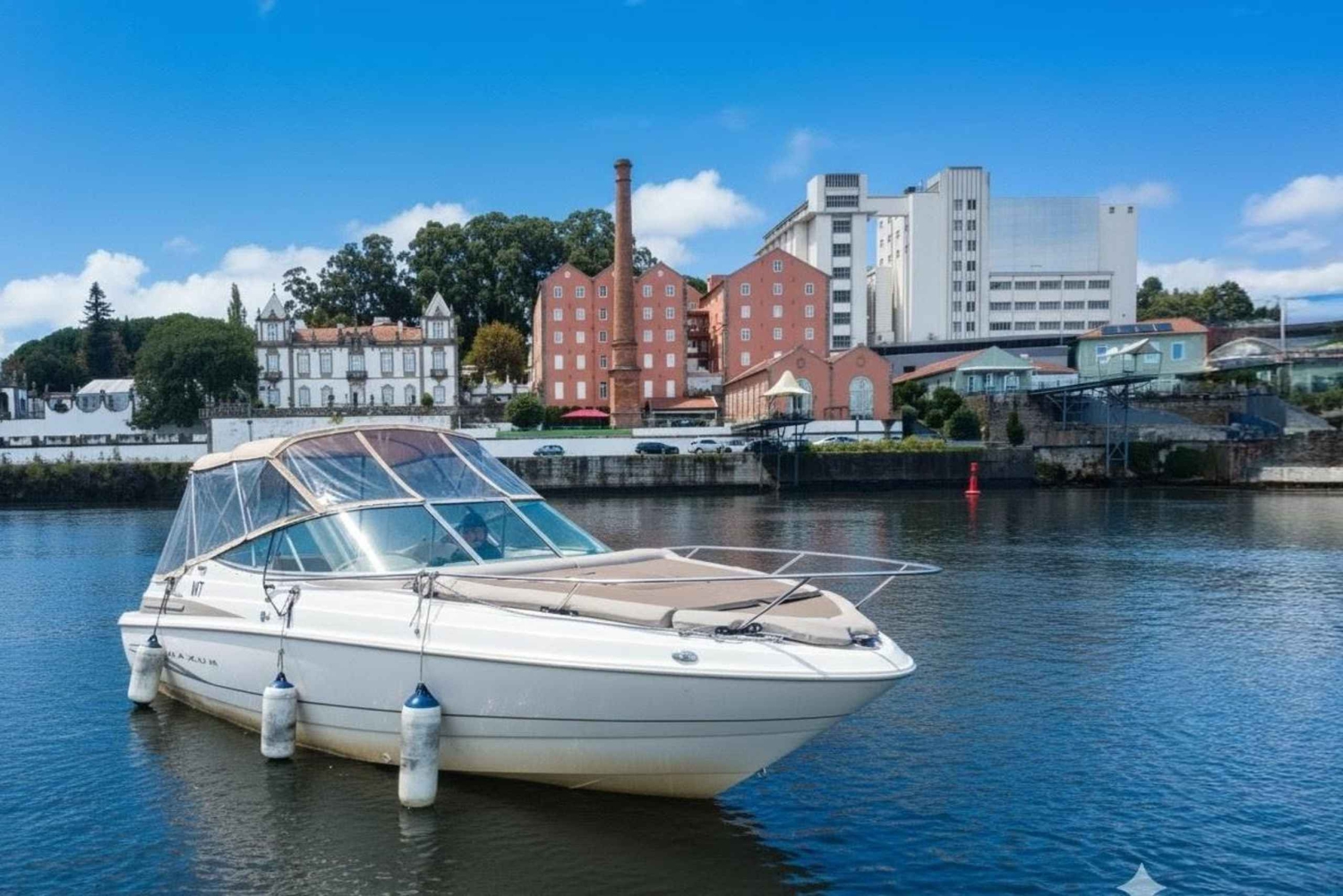 Porto: crociere private sul Douro con degustazione di vini