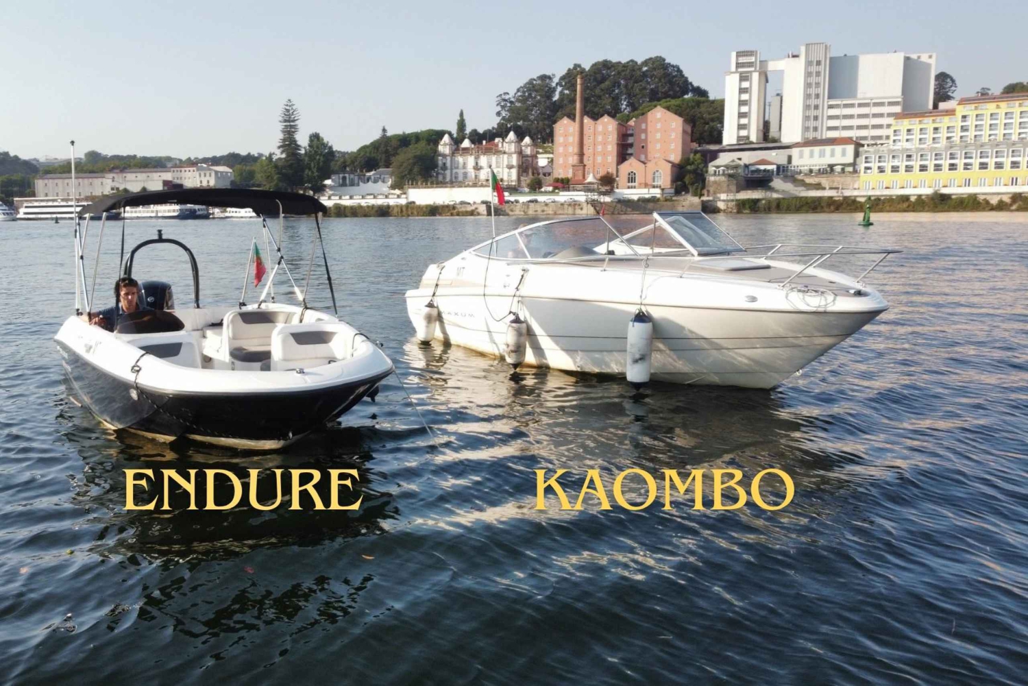 Porto: crociere private sul Douro con degustazione di vini