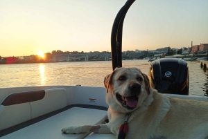 Porto: crociere private sul Douro con degustazione di vini