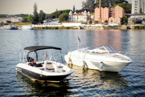 Porto: crociere private sul Douro con degustazione di vini