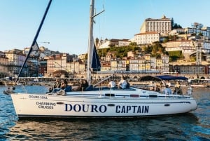 Porto: Private Douro River Charming Cruise w/wine tasting