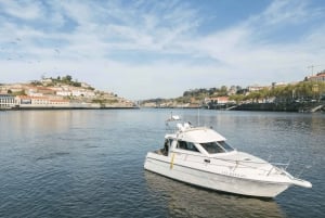 Porto: crociera privata al tramonto sul fiume Douro