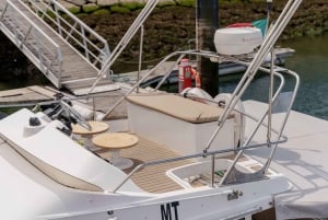 Porto: crociera privata al tramonto sul fiume Douro