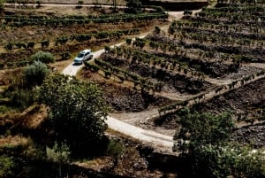 Porto: Tour Privado 4x4 no Vale do Douro com Almoço