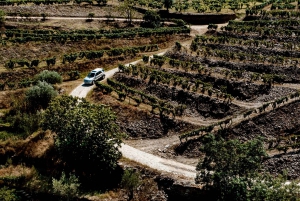 Porto: Private Douro Valley 4x4 Tour with Lunch