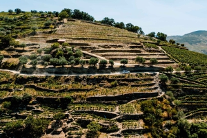 Porto: Private Douro Valley 4x4 Tour with Lunch