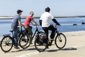Частный тур по Порту на электровелосипеде: Река Дору, парки и пляжи