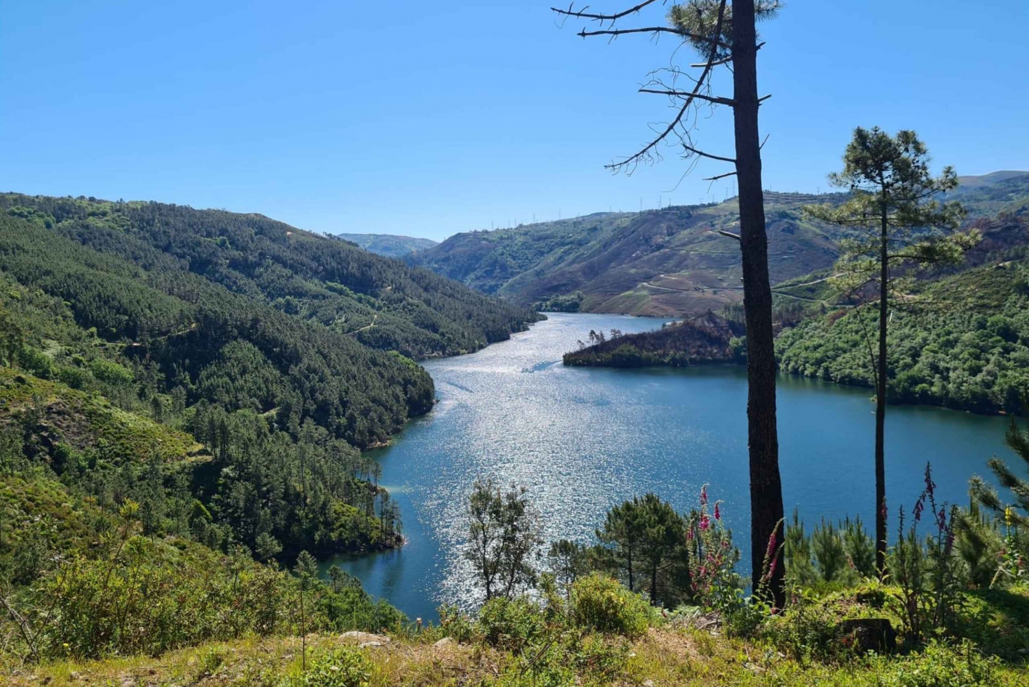 Porto: Private Gêres National Park Tour