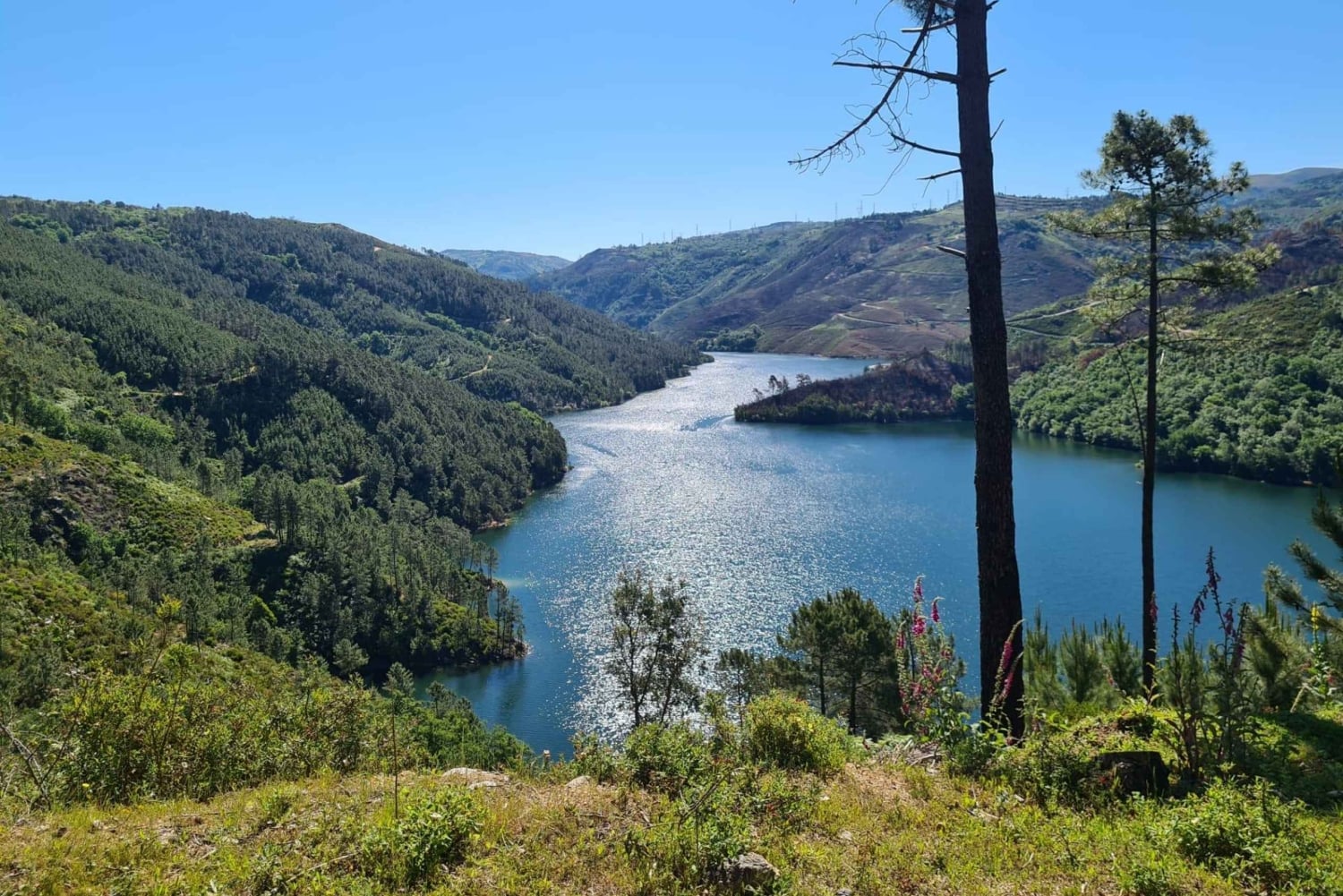 Porto : Visite privée du parc national des Gêres