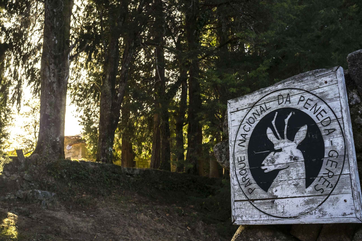 Porto : Visite privée du parc national des Gêres