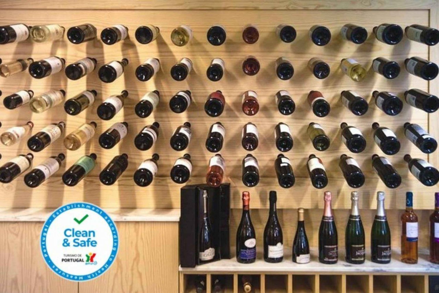 Porto: Private Guided Wine-Tasting Tour