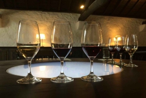 Porto: Private Guided Wine-Tasting Tour