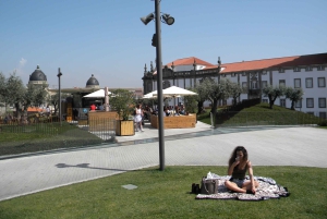 Porto: Private Half-Day as a Local Experience