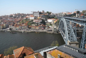Porto: Private Half-Day as a Local Experience