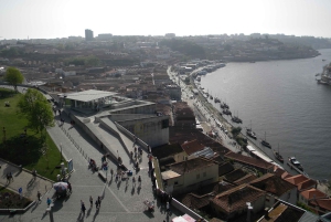 Porto: Private Half-Day as a Local Experience