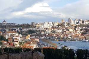 Porto: Private Half-Day as a Local Experience
