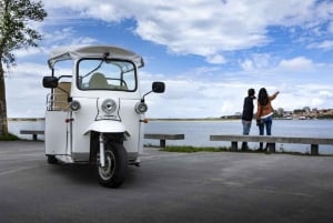 Porto : Visite touristique privée en tuk tuk électrique