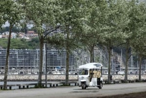Porto : Visite touristique privée en tuk tuk électrique