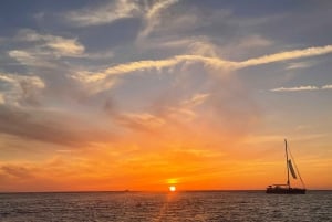 Porto: Prywatny statek wycieczkowy Douro (tylko dla Ciebie)6 mostów/zachód słońca