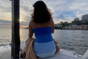 Porto: Prywatny statek wycieczkowy Douro (tylko dla Ciebie)6 mostów/zachód słońca