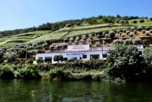Porto: Private Tour Douro Valley/Winery SECXVIII /Boat/Lunch