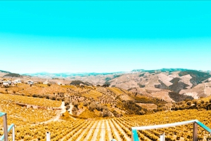 Porto: Private Tour Douro Valley/Winery SECXVIII /Boat/Lunch