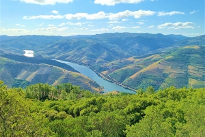 Porto: Private Tour Douro Valley/Winery SECXVIII /Boat/Lunch
