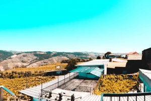 Porto: Private Tour Douro Valley/Winery SECXVIII /Boat/Lunch