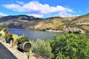Porto: Private Tour Douro Valley/Winery SECXVIII /Boat/Lunch
