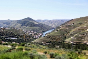 Porto: Private Tour Douro Valley/Winery SECXVIII /Boat/Lunch