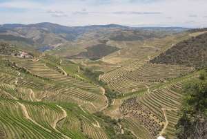 Porto: Private Tour Douro Valley/Winery SECXVIII /Boat/Lunch